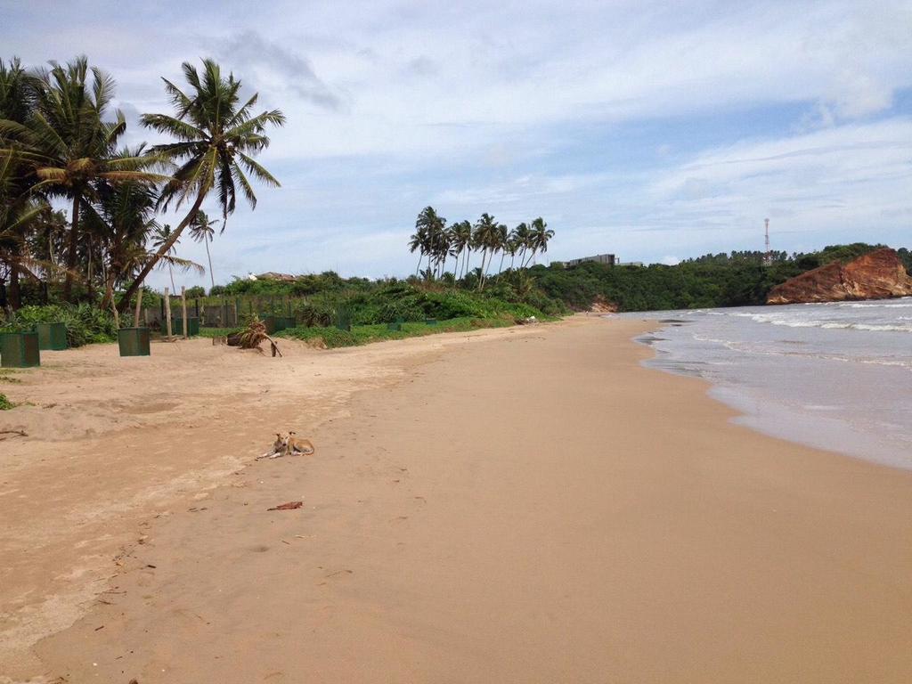 Relax Beach Resort Велигама Экстерьер фото